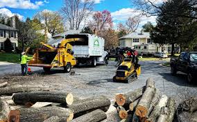 Best Residential Tree Removal  in North Hobbs, NM